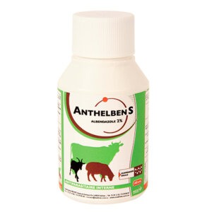 Anthelben S
