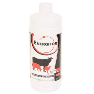 Energifor